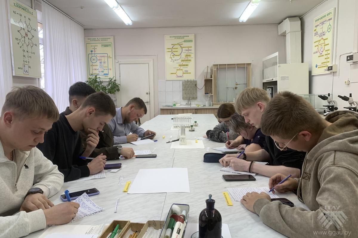 Первые шаги к ораторскому мастерству