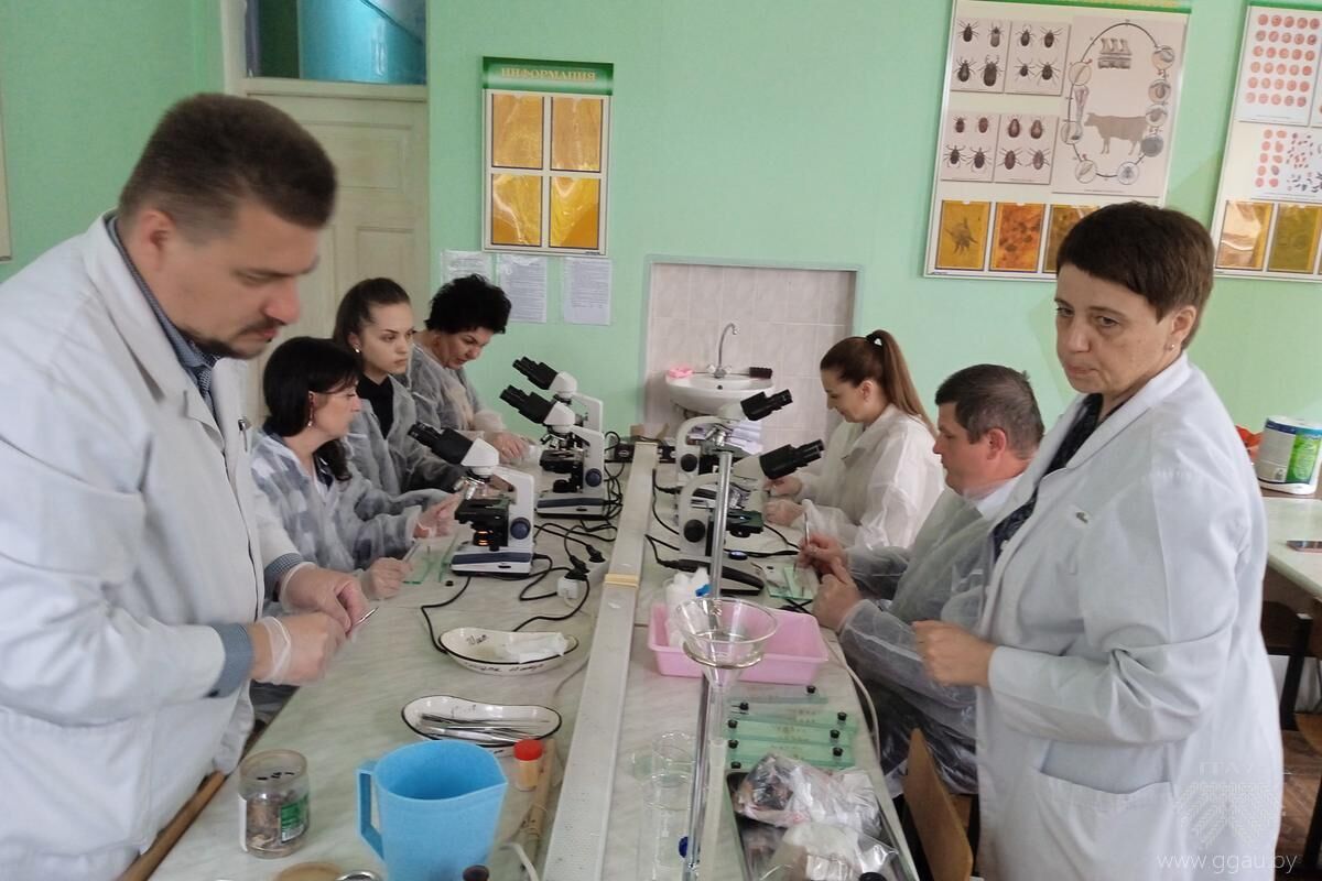 Трихинеллёз. Знать и предупредить