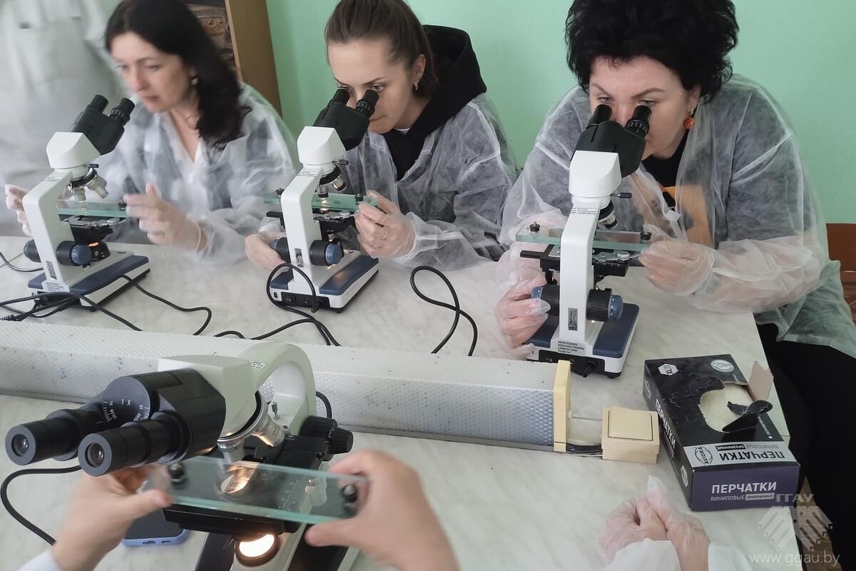 Трихинеллёз. Знать и предупредить