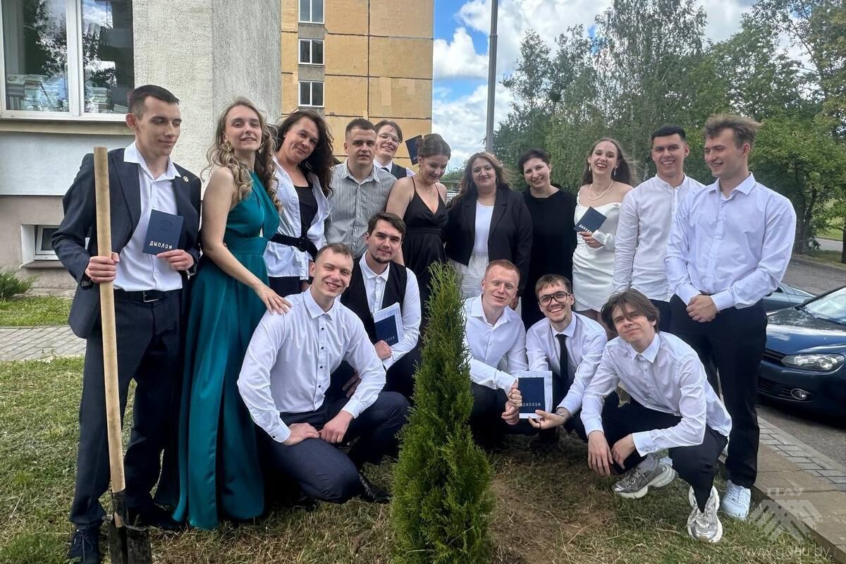 Посадка дерева