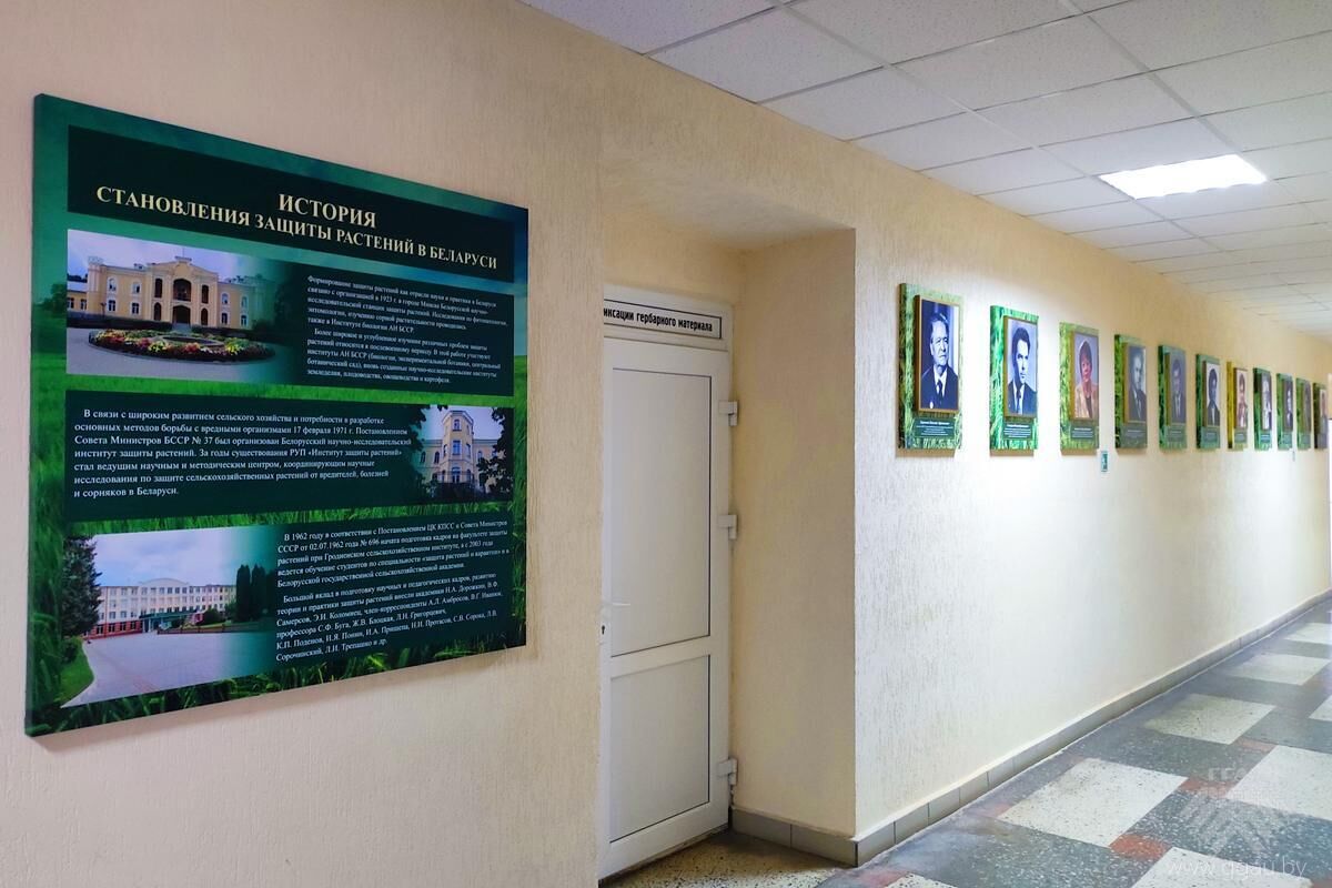 История становления защиты растения в Беларуси