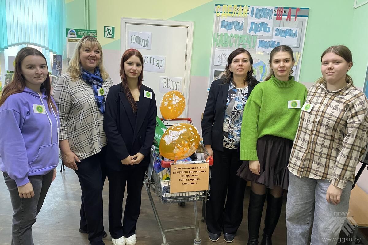 Сделай шаг навстречу добру