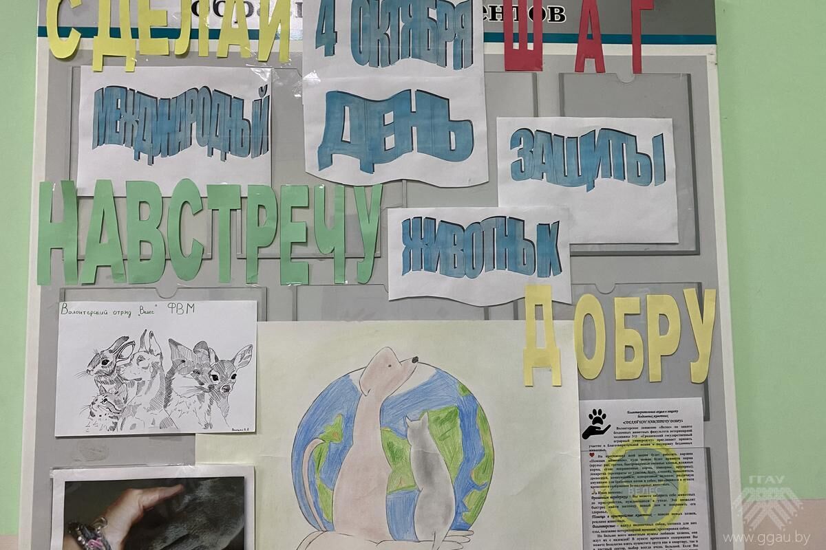 Сделай шаг навстречу добру