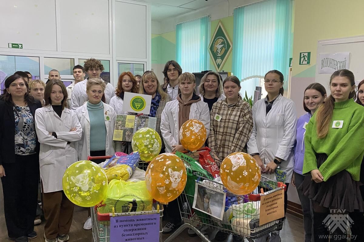 Сделай шаг навстречу добру