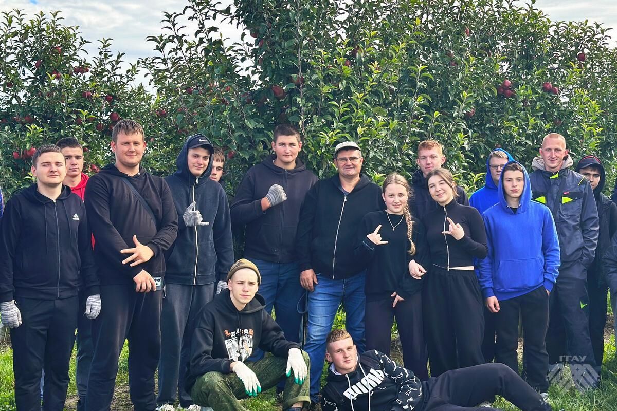 Трудовой десант агрономического факультета