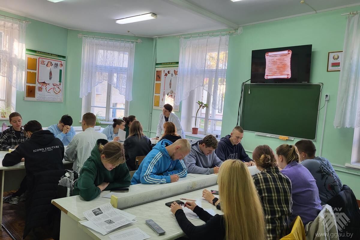 День пожилых людей