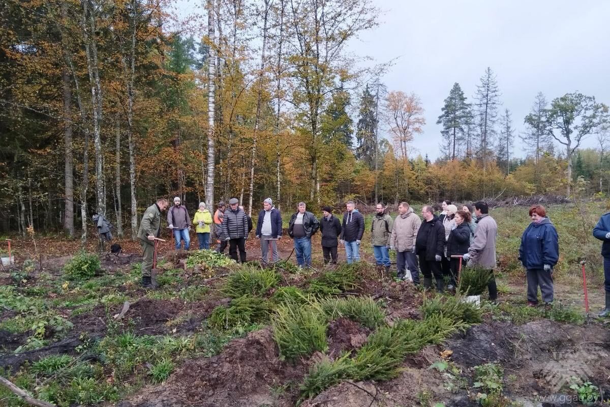 Нажмите, чтобы увеличить изображение photo_2025-10-17_09-32-581.jpg