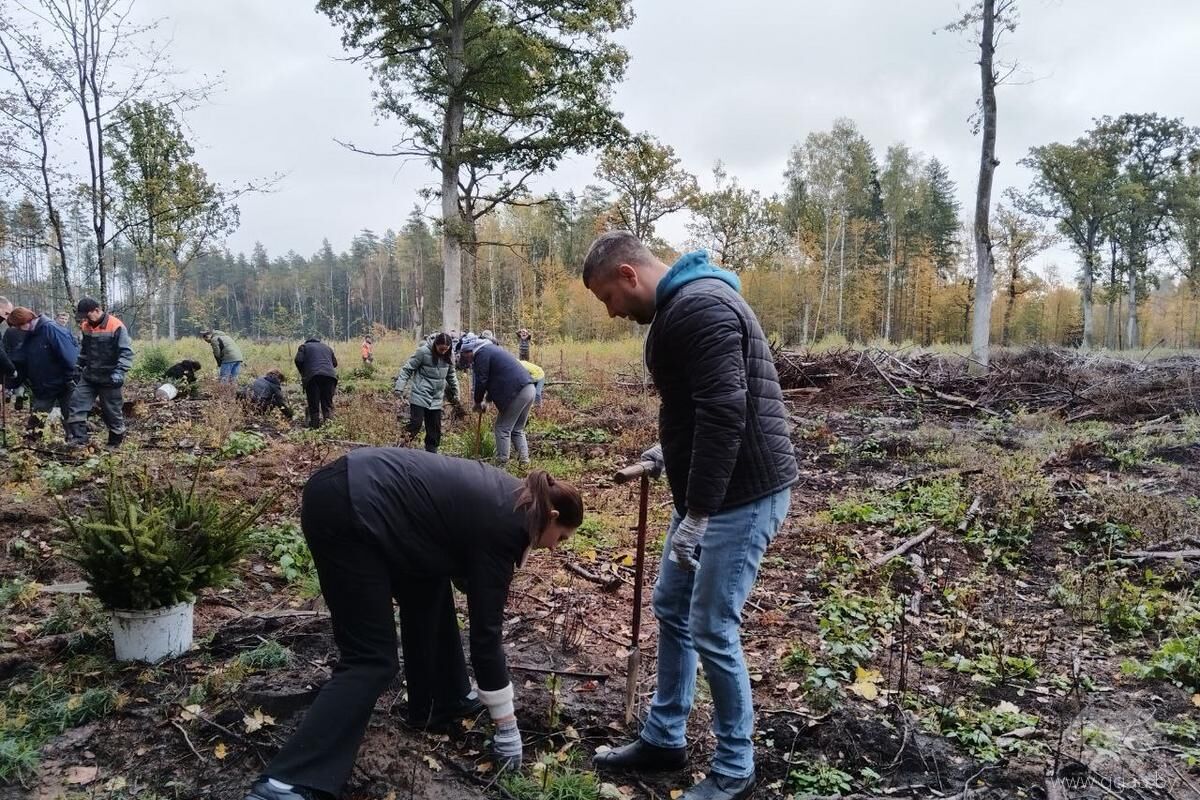 Нажмите, чтобы увеличить изображение photo_2025-10-17_09-32-581.jpg