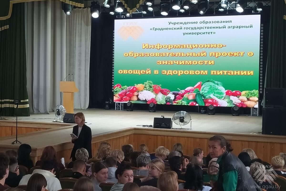 Овощи – дело серьёзное