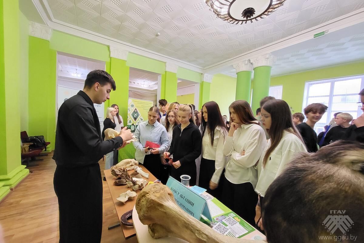 Нажмите, чтобы увеличить изображение 20251025_103519.jpg