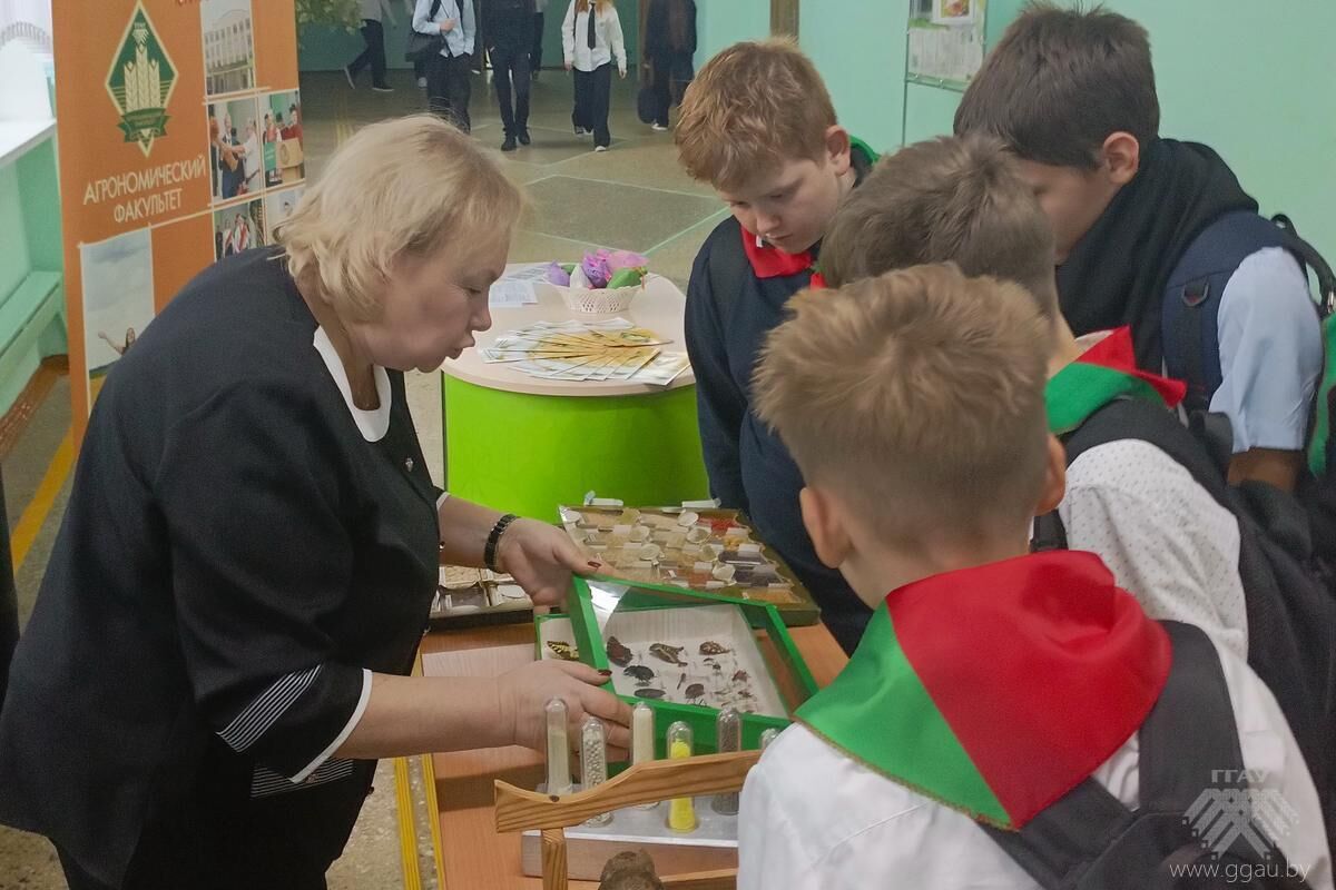 Профориентация в школах г. Свислочь