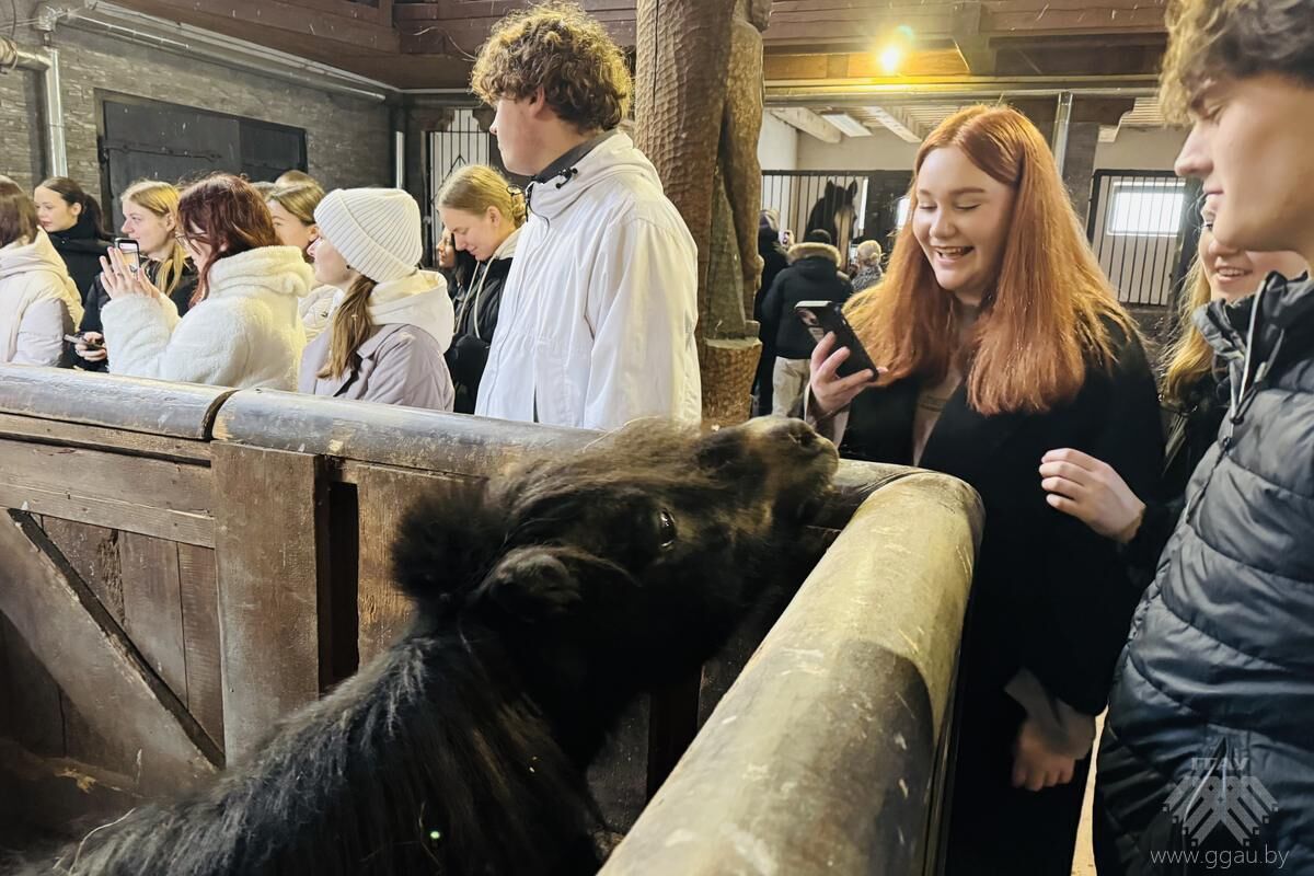 Нажмите, чтобы увеличить изображение img_4185.jpg