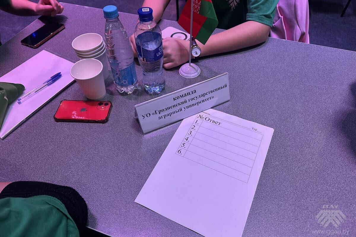 Молодые специалисты заняли второе место в интеллектуально-творческой игре «Моя родная Беларусь»