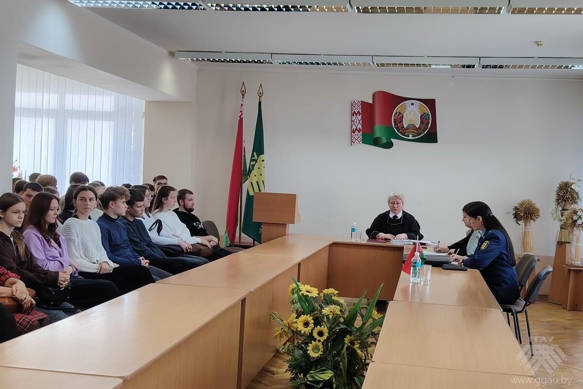 В УО «ГГАУ» рассмотрено уголовное дело об умышленном причинении менее тяжких телесных повреждений