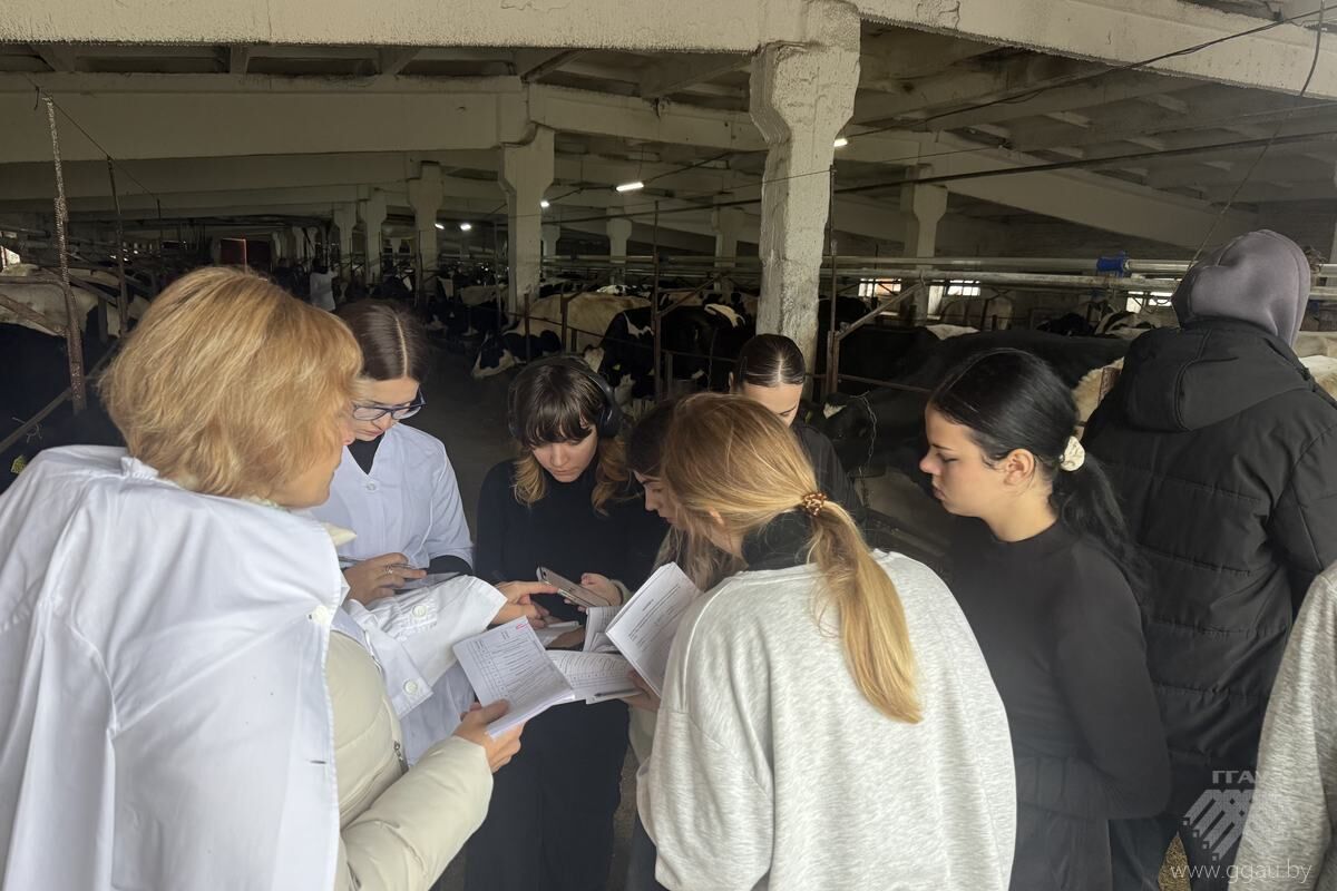 Работа филиалов кафедр биотехнологического факультета