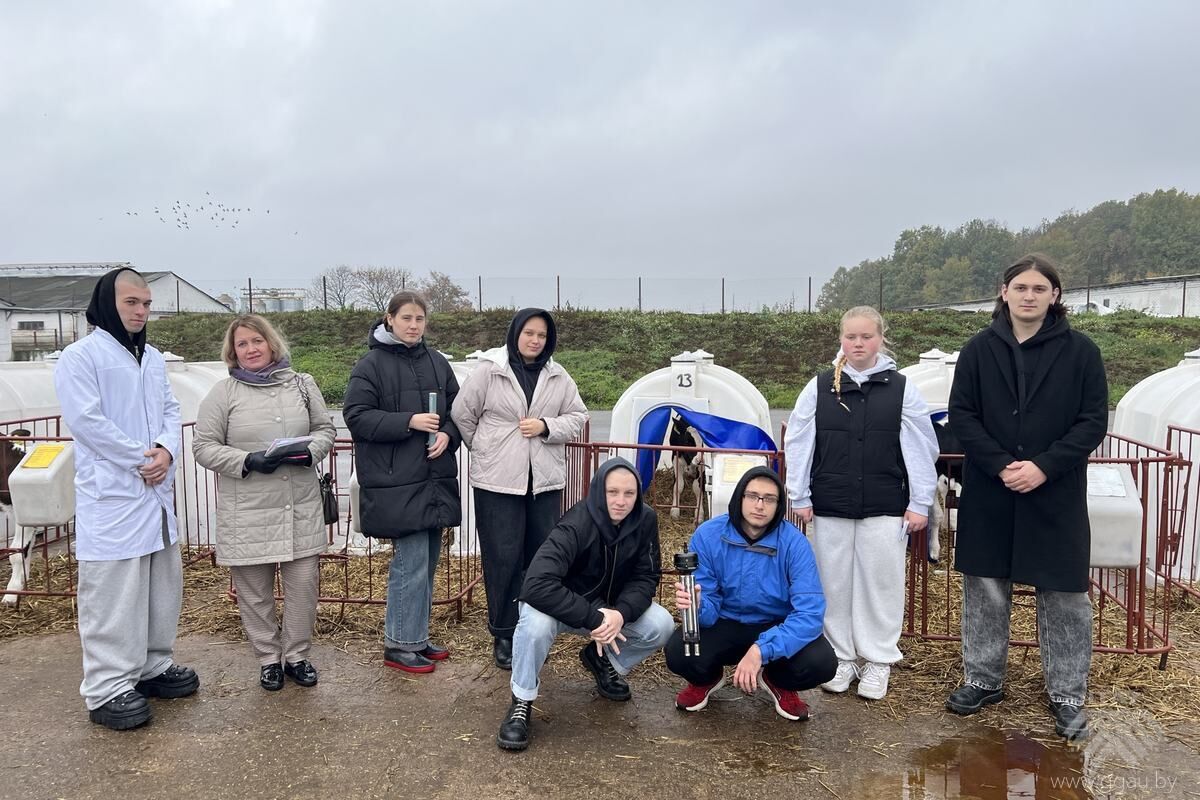 Практическое обучение студентов по дисциплине «Гигиена и благополучие животных»