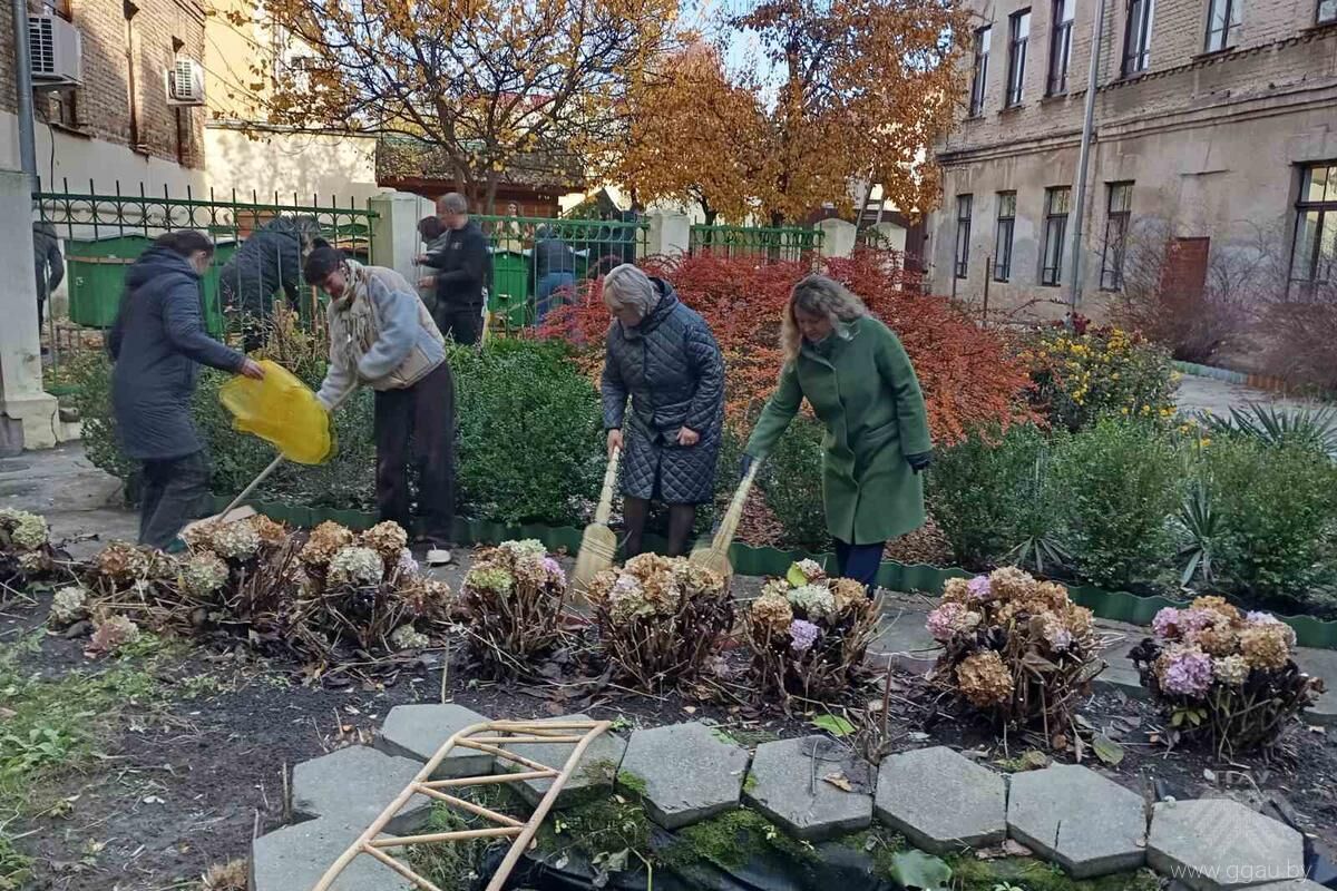 Благоустройство территории - наша общая забота
