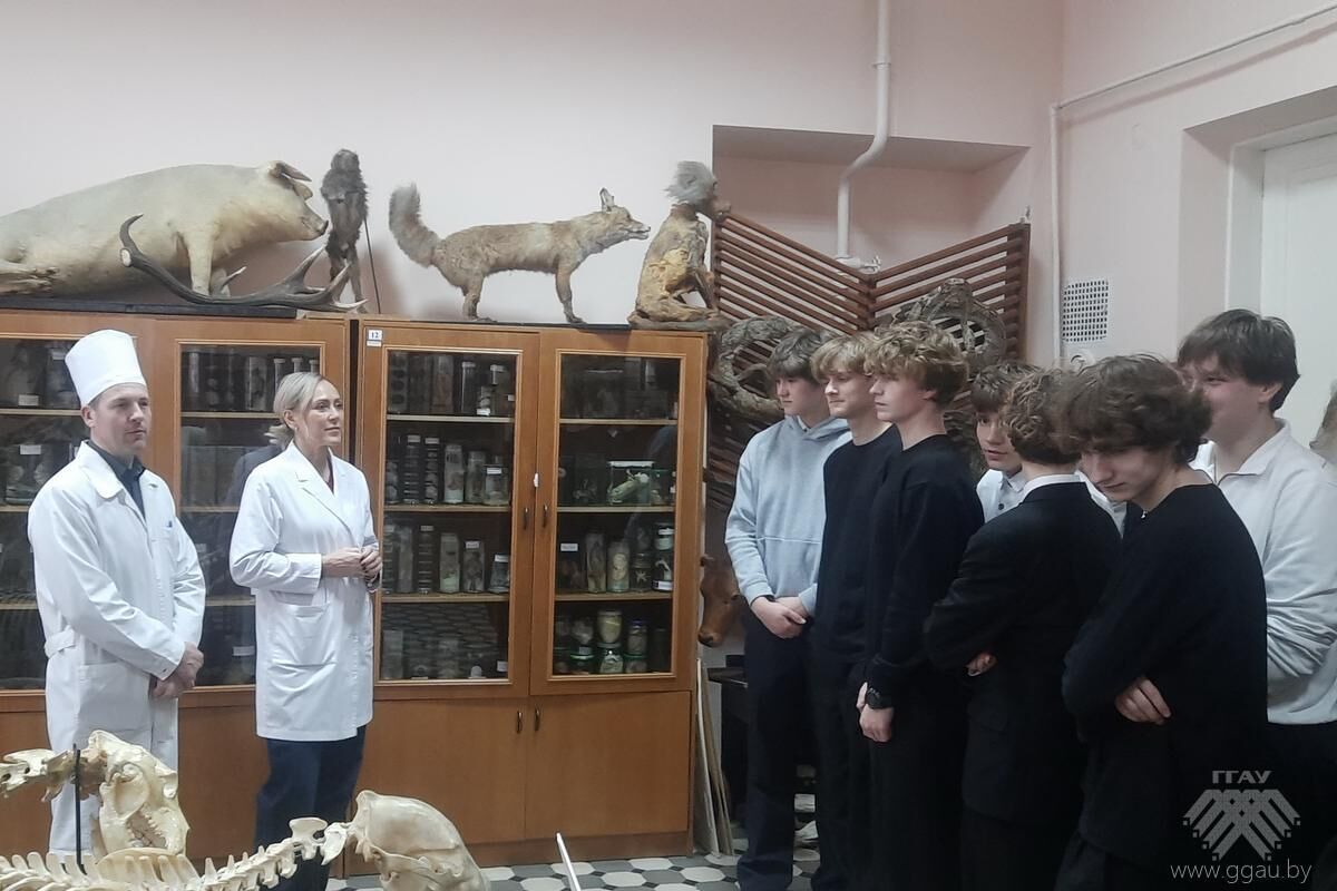 Работа с агроклассами