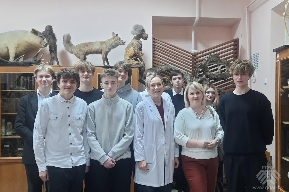 Работа с агроклассами