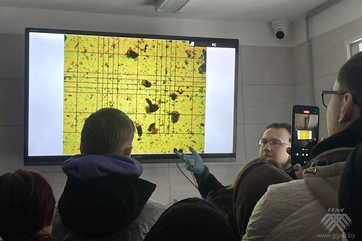Наука и практика в образовательном процессе будущих ветеринаров