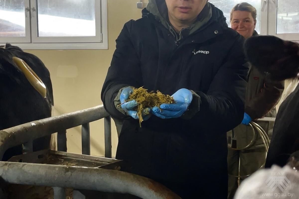 Наука и практика в образовательном процессе будущих ветеринаров