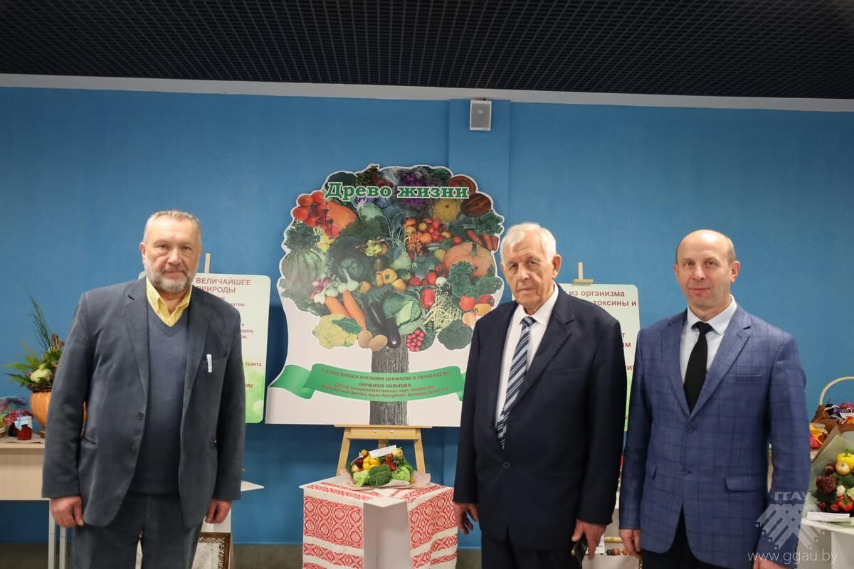 Информационно-образовательный проект о ценности овощей в здоровом питании