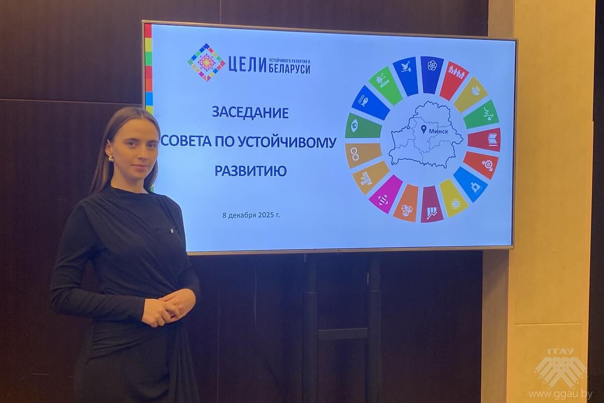 Участие в заседании Совета по устойчивому развитию