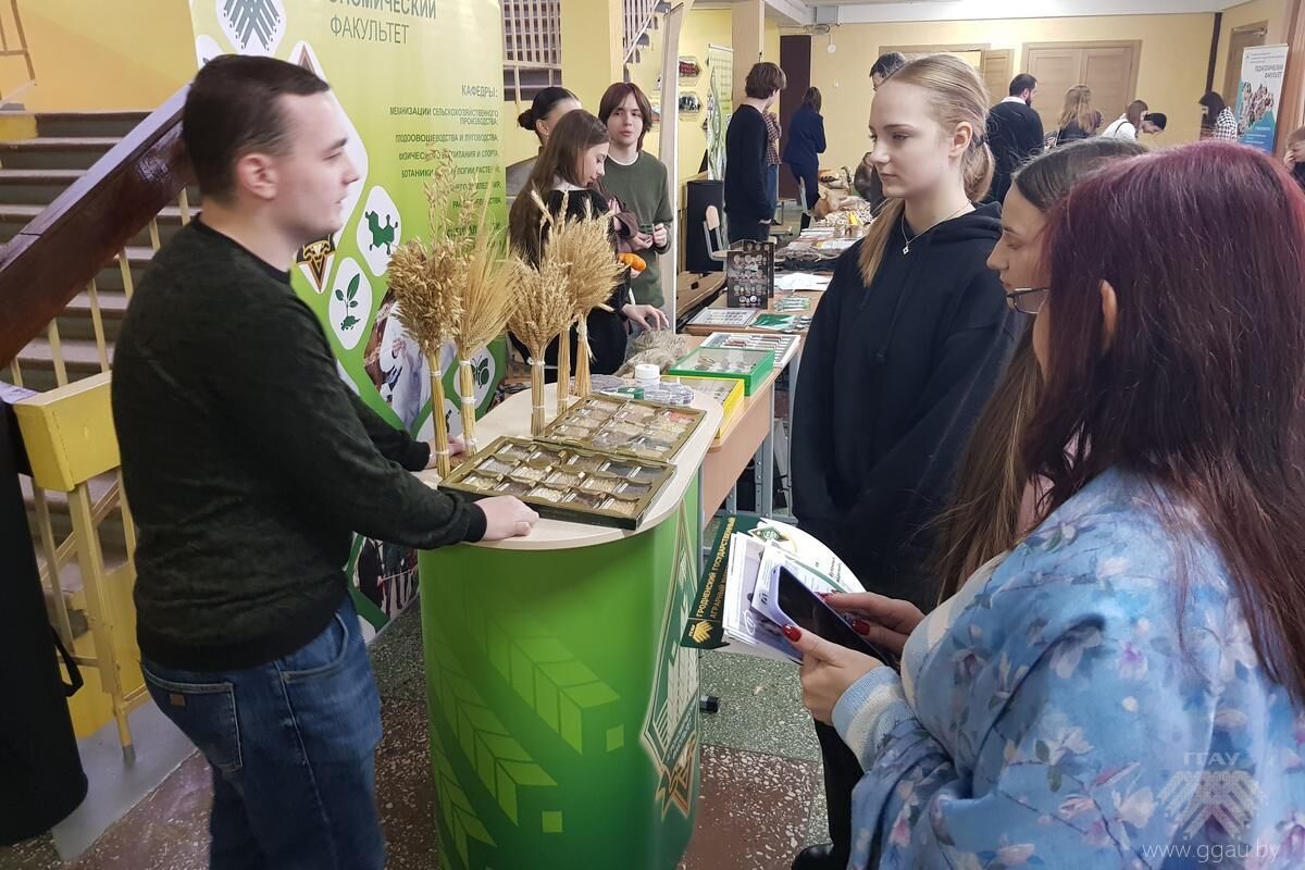 Калейдоскоп профессий