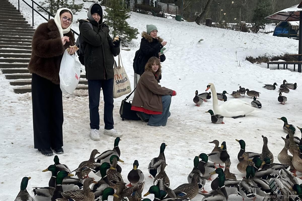 Поможем пернатым перезимовать