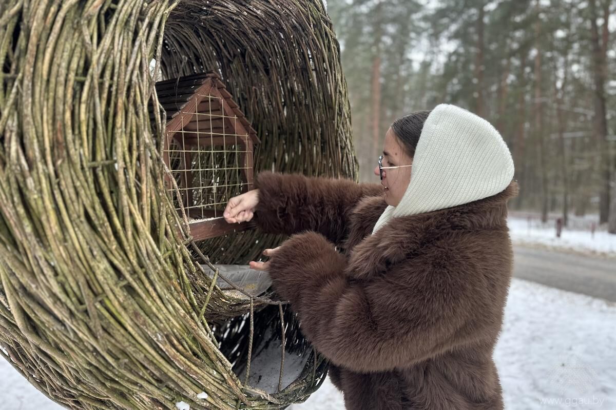 Нажмите, чтобы увеличить изображение