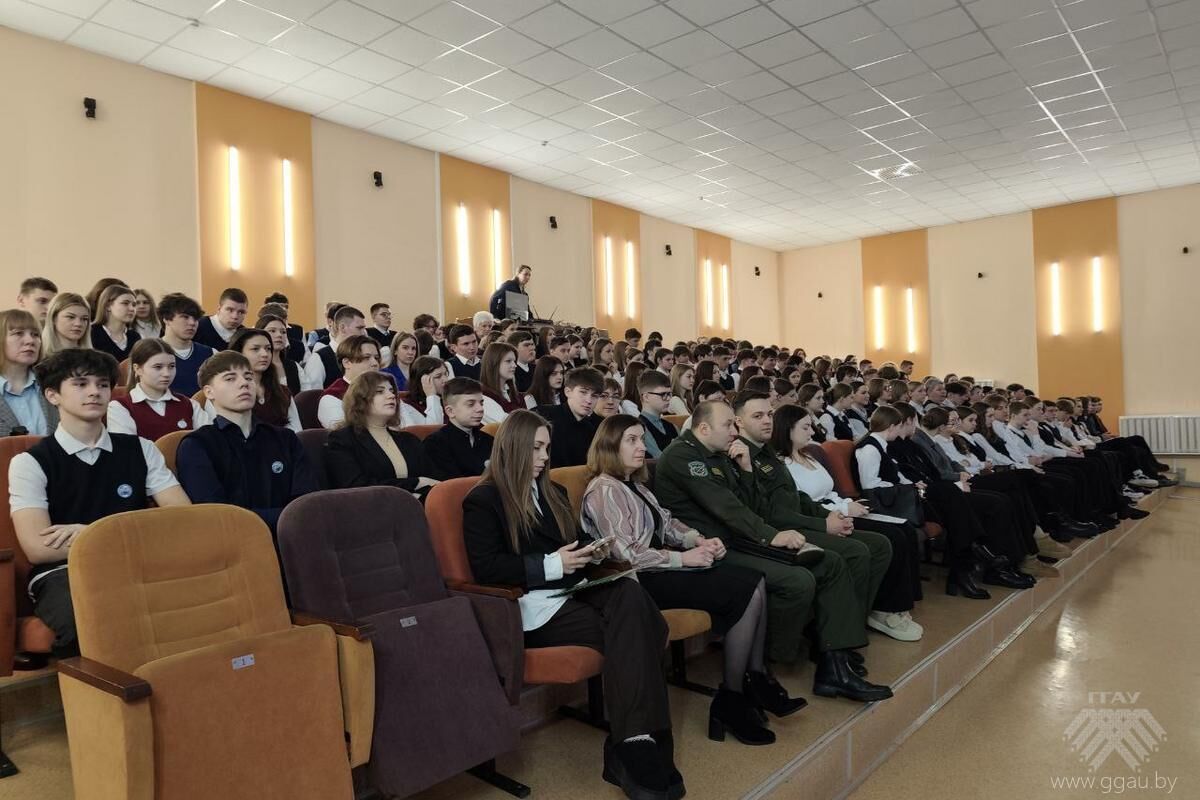 Моё профессиональное будущее