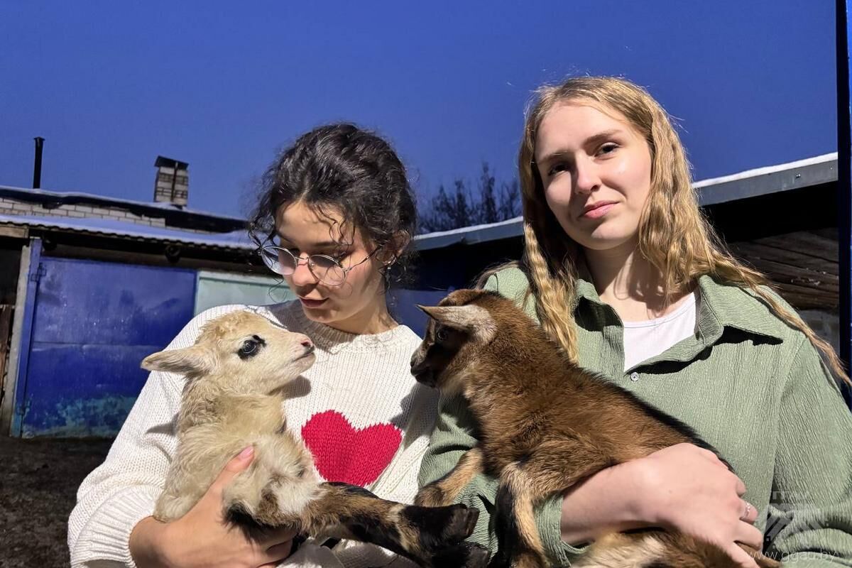 Будущие ветеринары учатся ухаживать за новорожденными животными