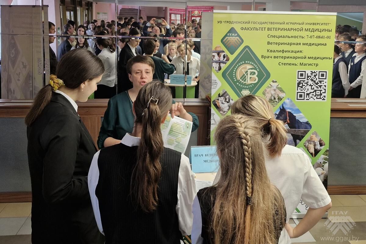 Аграрный выбор