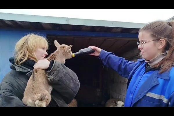 Будни будущих ветеринаров УО "ГГАУ"