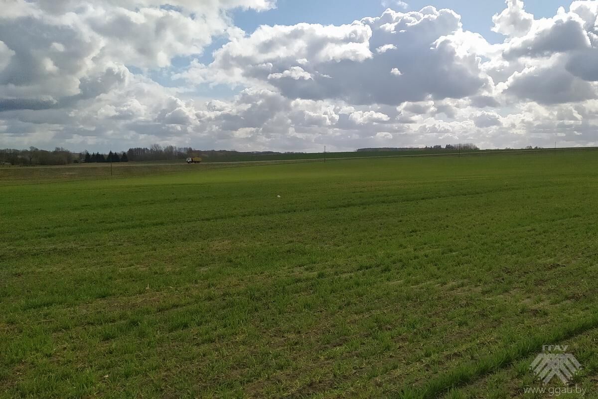 Первокурсники-экономисты вышли на очистку полей