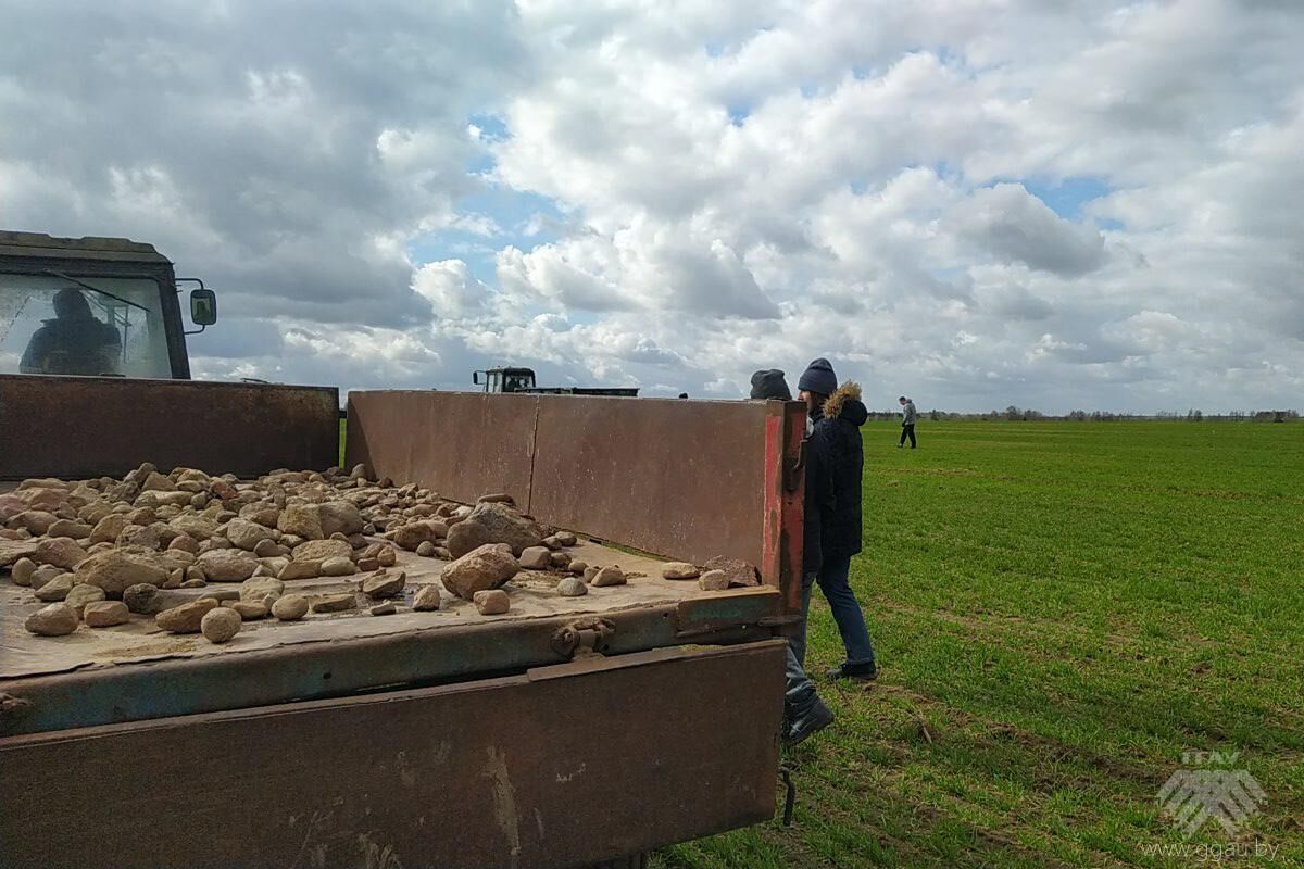 Первокурсники-экономисты вышли на очистку полей
