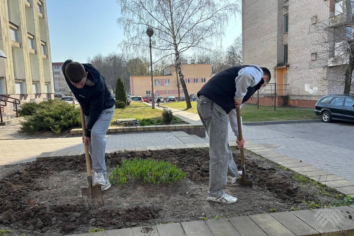Студенты на страже чистоты: как молодежь приняла участие в уборке территории
