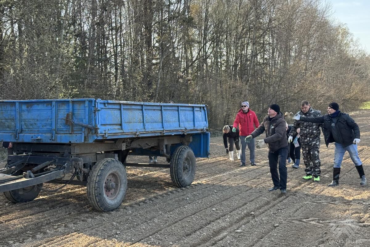Сотрудники университета оказывают помощь производству