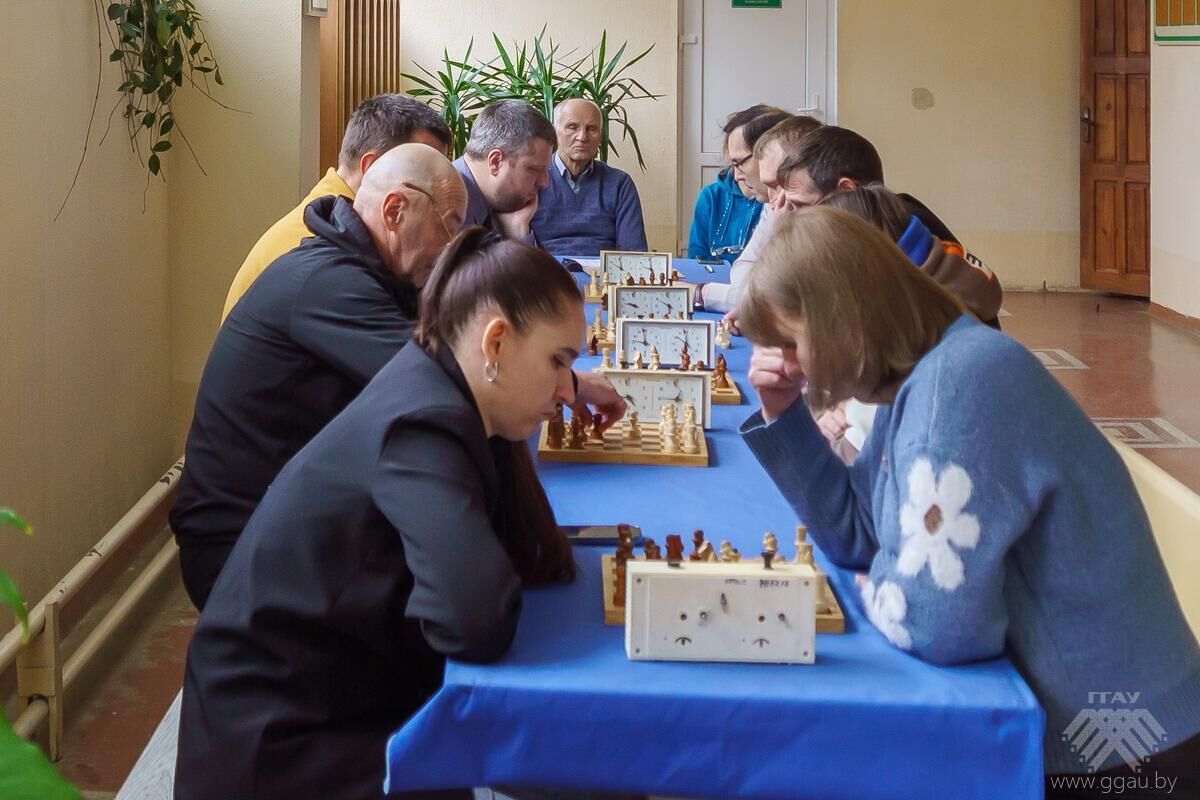 Шахматный турнир