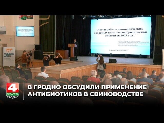  В Гродно обсудили применение антибиотиков в свиноводстве