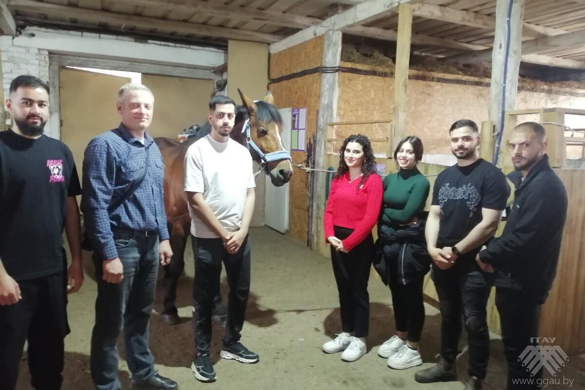 Выездное практическое занятие для ветеринаров - связь знаний и практики