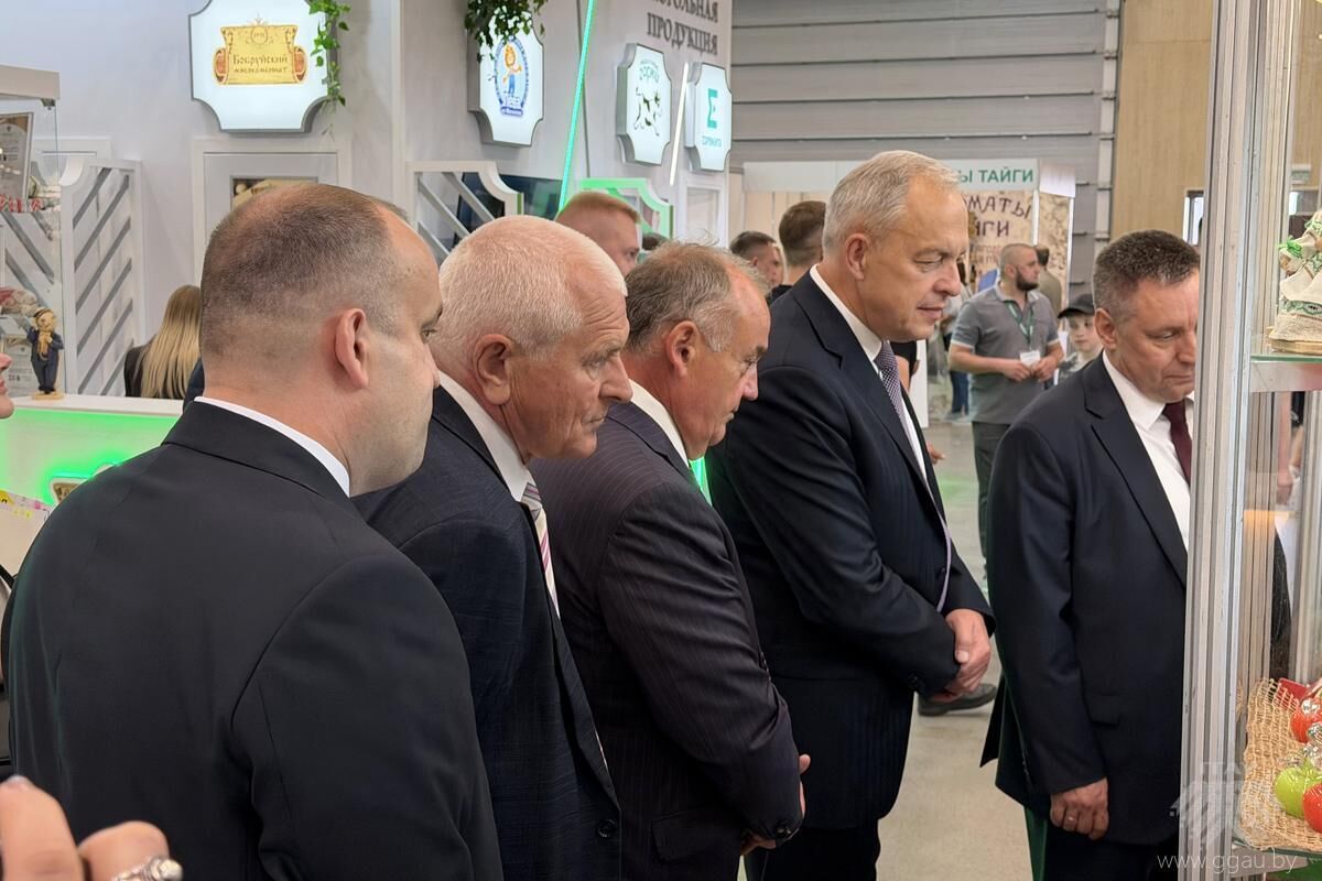 Нажмите, чтобы увеличить изображение