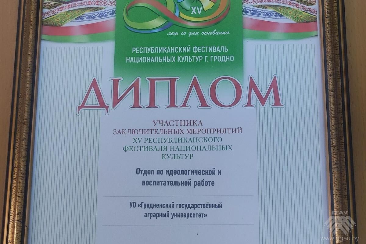 img 20260608 140039