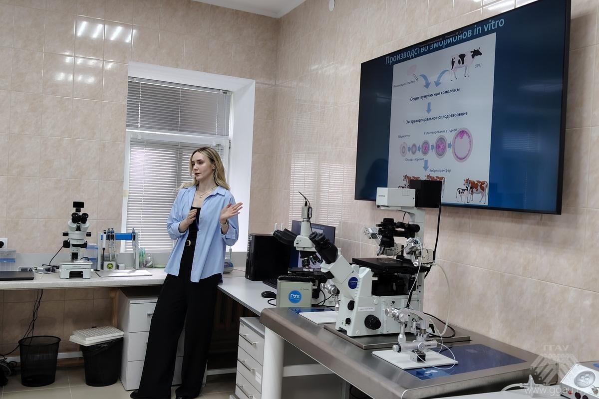Нажмите, чтобы увеличить изображение