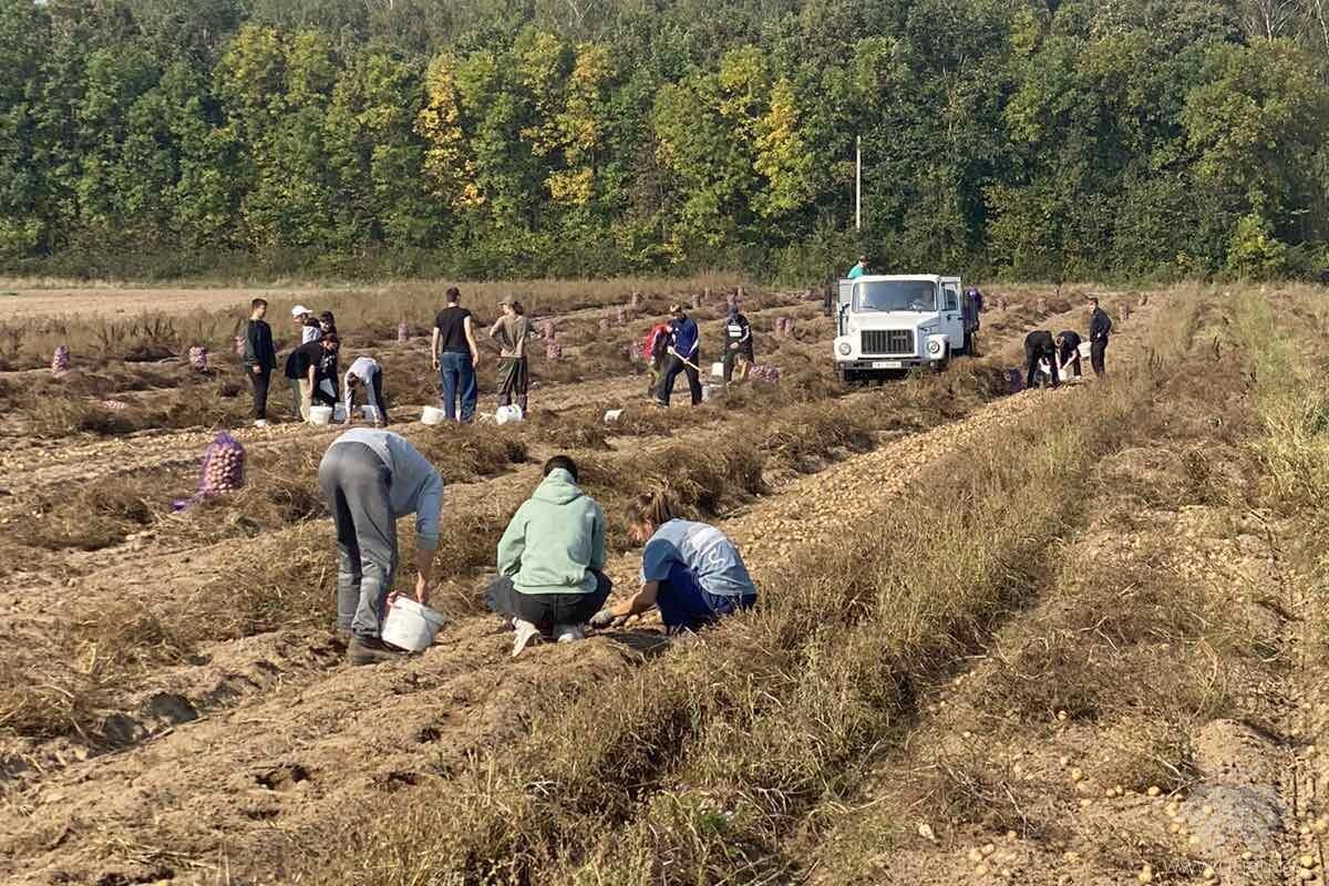 Трудовой десант