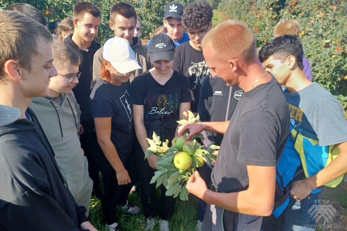 Аудитория под открытым небом