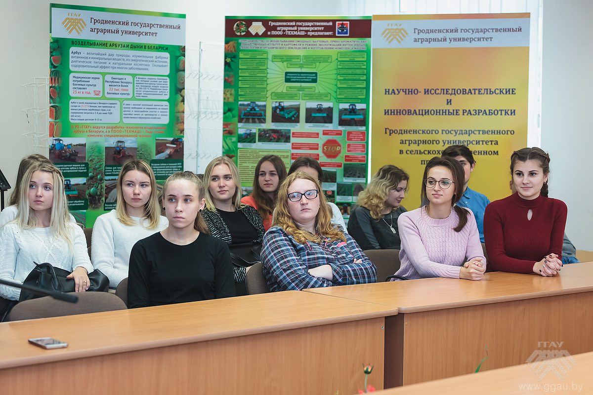 Современное развитие учета, анализа и аудита в странах СНГ: онлайн конференция на факультете бухгалтерского учета