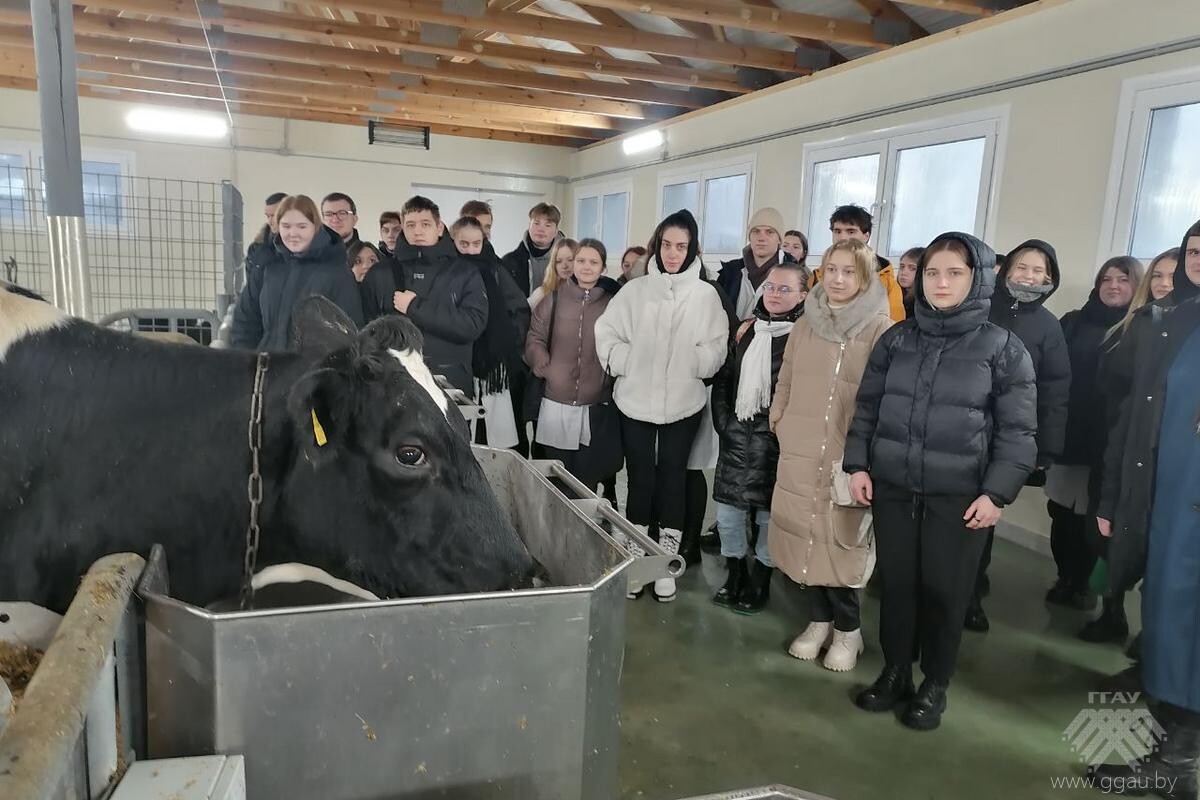 Образование – наука – практика в учебном процессе на ФВМ