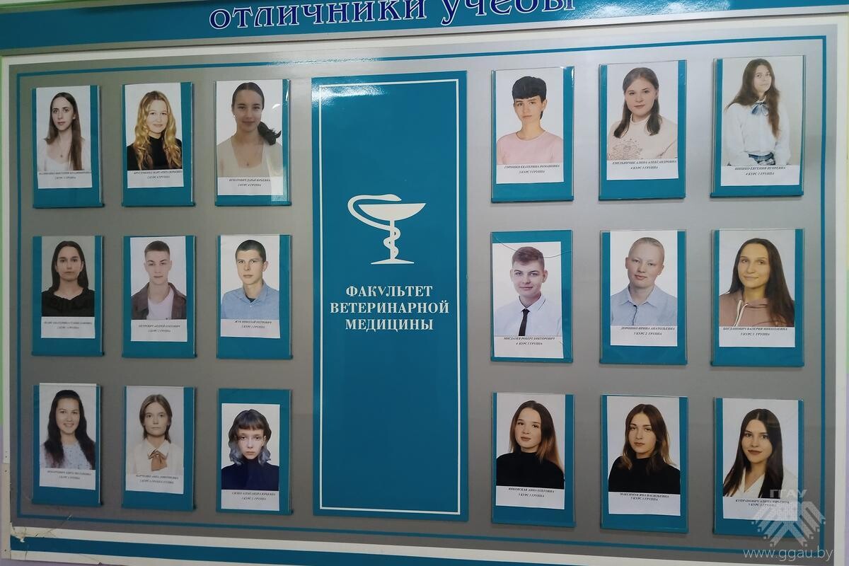 Вручение благодарственных писем на факультете ветеринарной медицины