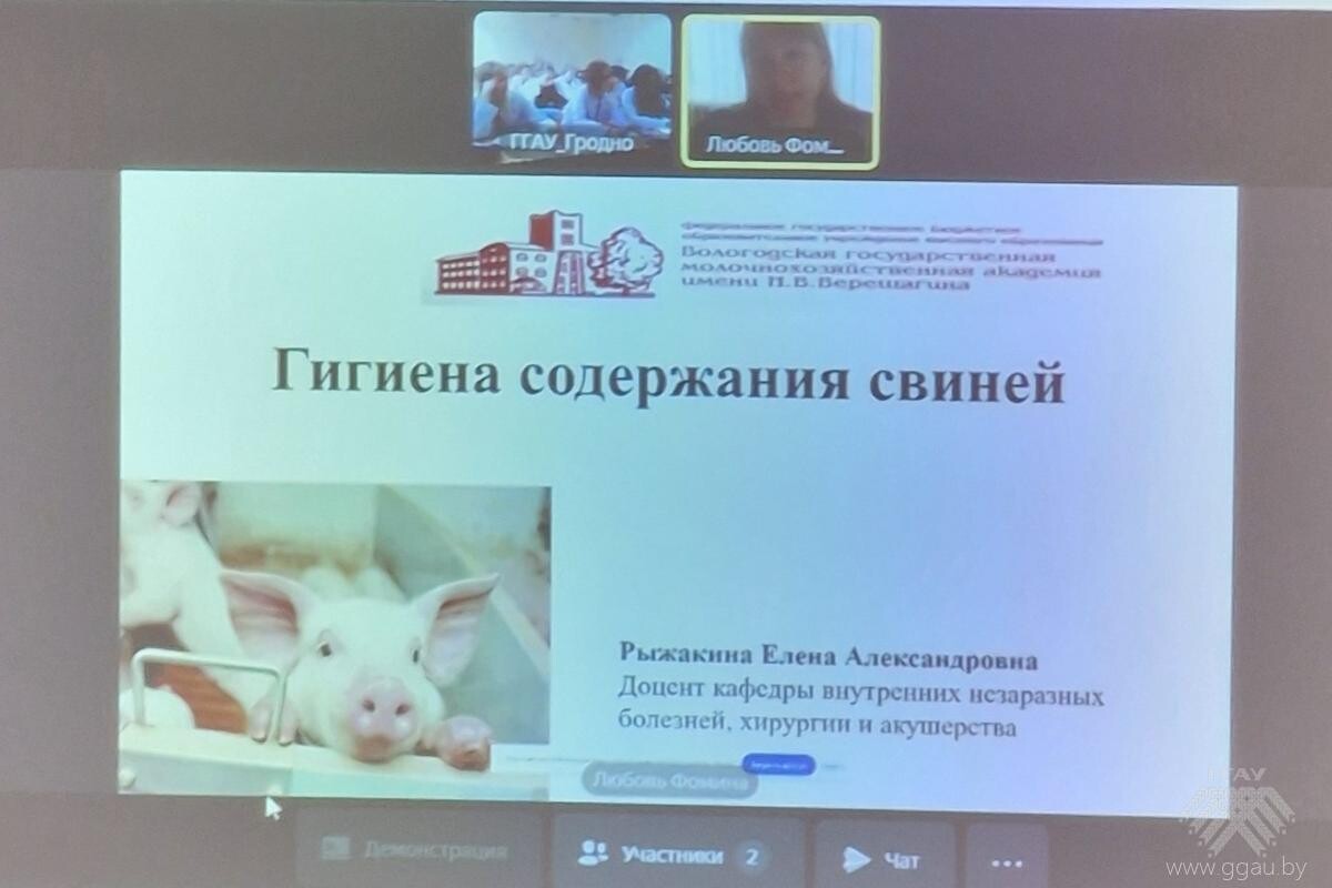 Международное сотрудничество в сфере образования